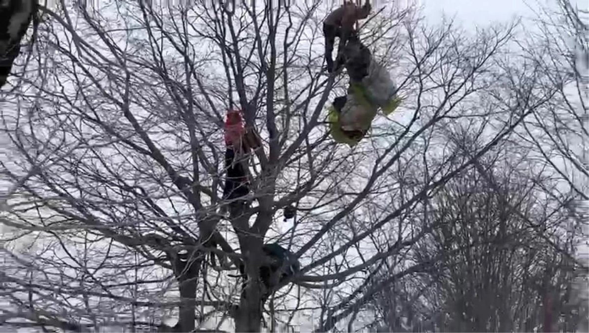 Paraşütle düşen vatandaş ağacın tepesinde mahsur kaldığı anlar kamerada