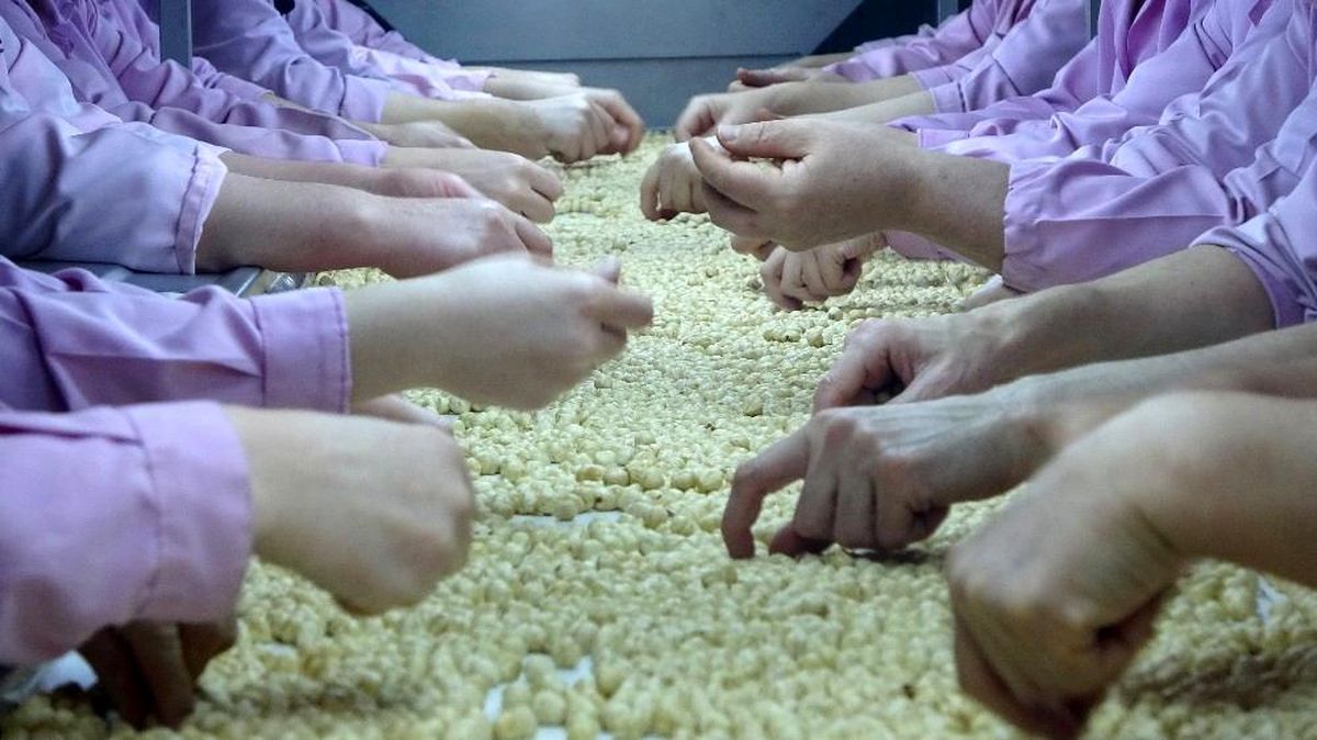 AB ülkelerine iki ayda 4 bin 803 ton 131 kilo fındık ihraç edildi