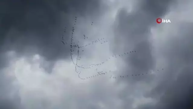 Son dakika haberi... Göç eden turnalardan görsel şölen