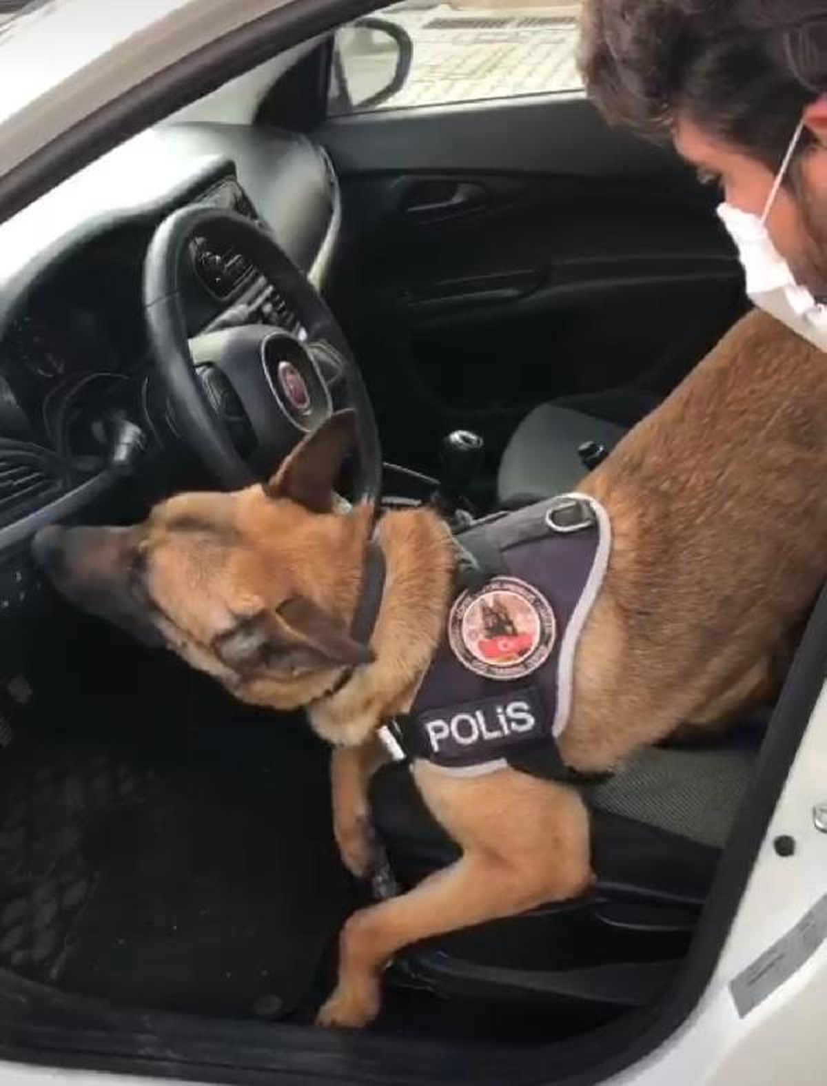 Narkotik köpek \'Artur\'un tepki verdiği otomobilden uyuşturucu çıktı