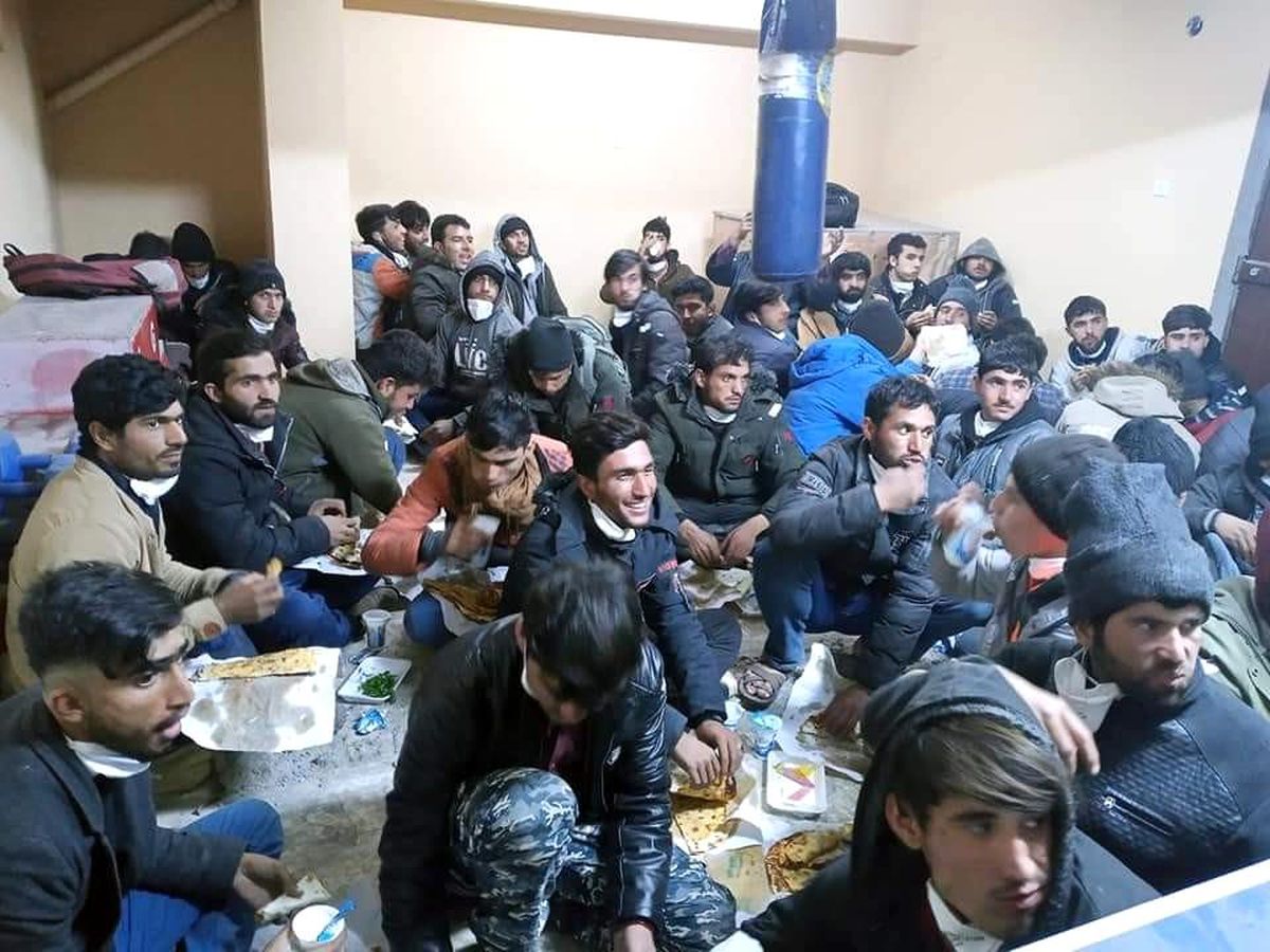 Şanlıurfa\'da 82 Afgan göçmeni yakalandı: 5 gözaltı