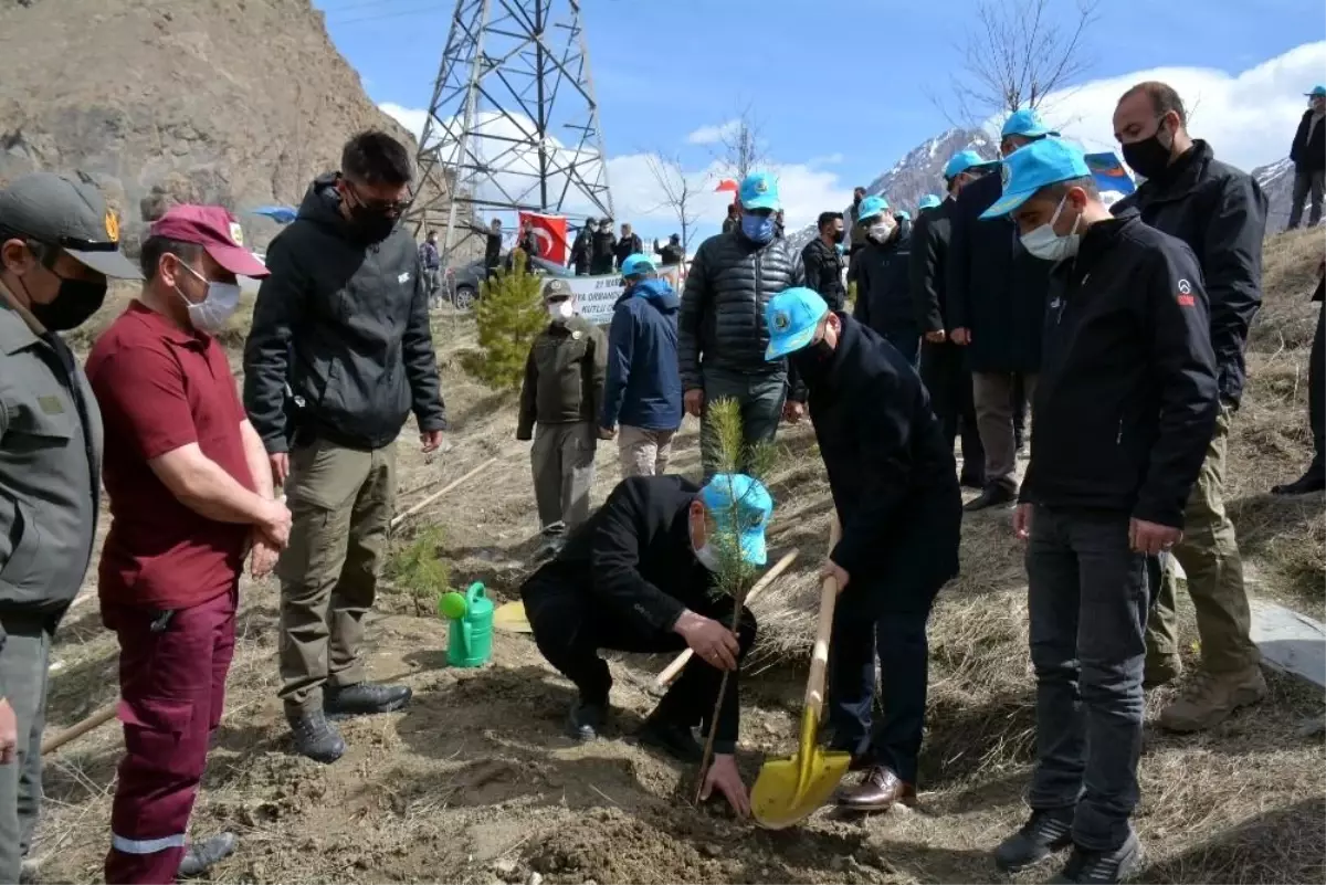 Hakkari\'de bin 500 fidan toprakla buluşturuldu