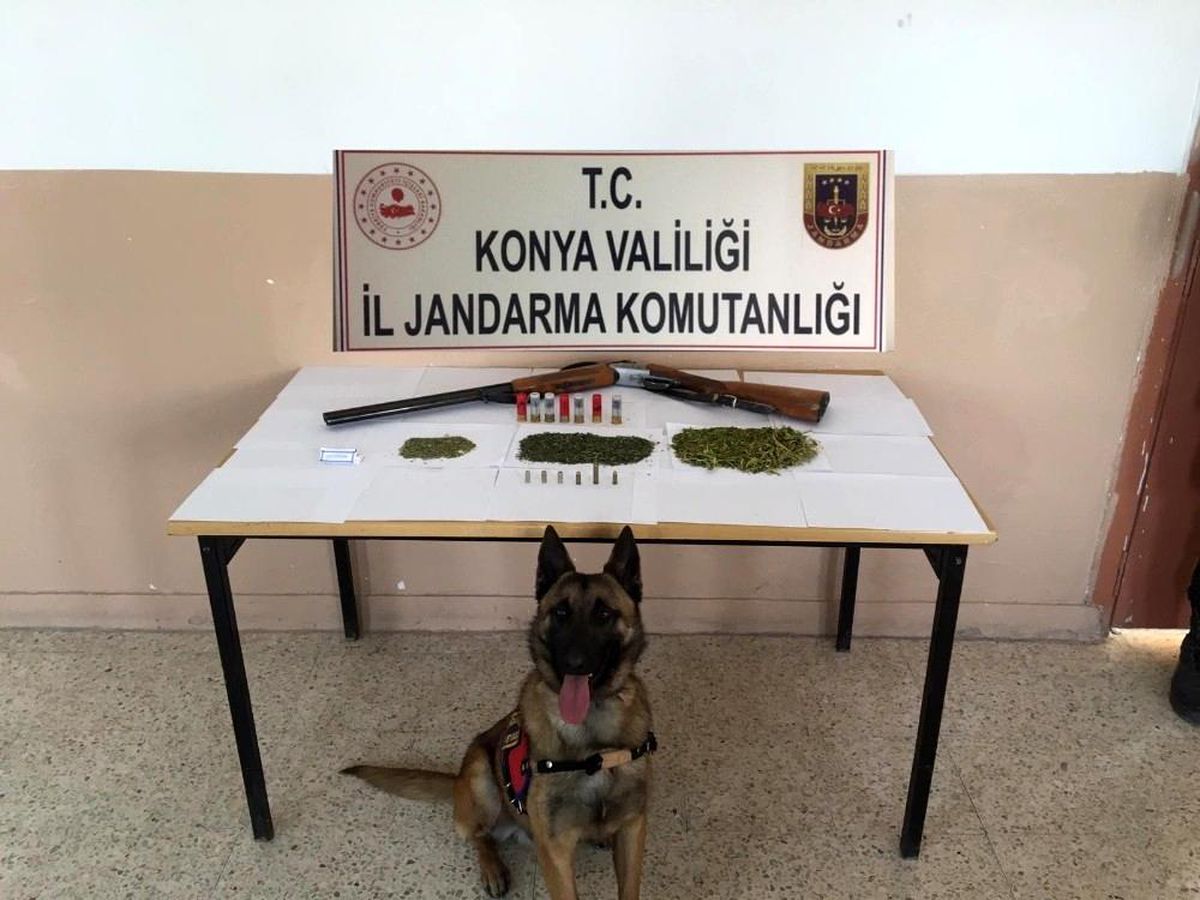Jandarma\'dan uyuşturucu operasyonu