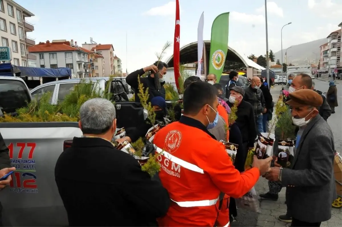 Akşehir\'de vatandaşlara fidan dağıtıldı