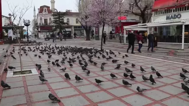 EDİRNE/KIRKLARELİ - Vaka artışının sürdüğü Trakya'da vatandaşa göre artışın nedeni kural tanımazlık 