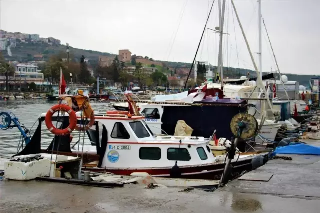 - Limanların büyümesi ile av alanları azalan balıkçıklar dertli