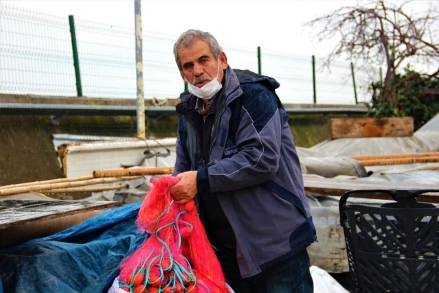 - Limanların büyümesi ile av alanları azalan balıkçıklar dertli