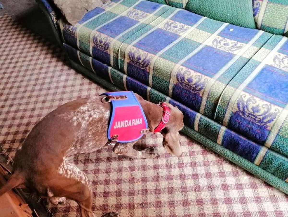 Narkotik köpeği "Radar" uyuşturucuya geçit vermedi