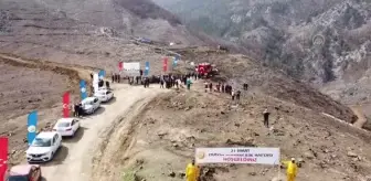 Pozantı'da yanan ormanlık alana kızılçam tohumu ekildi