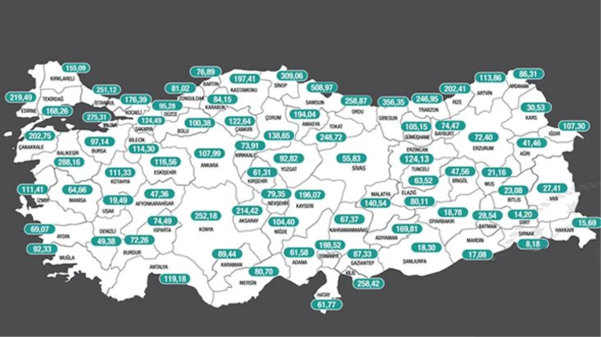 Risk haritasında kırmızı illerin sayısının 39\'a çıkması uzmanları tedirgin etti: Türkiye tamamen kapanabilir
