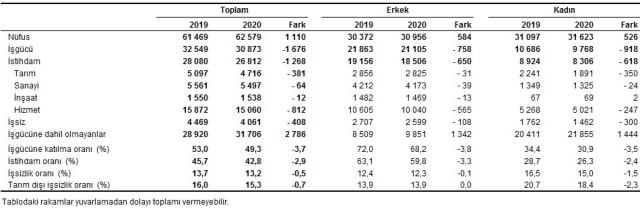 Son Dakika! Türkiye'de işsizlik oranı, 2020'de bir önceki yıla göre 0,5 puan azalarak yüzde 13,2 oldu