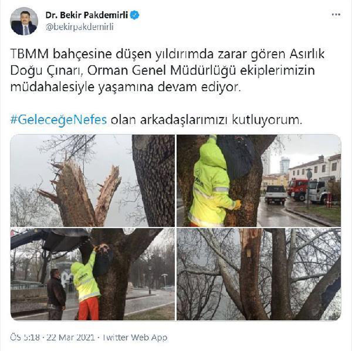 TBMM bahçesinde ağaca yıldırım düştü (3)
