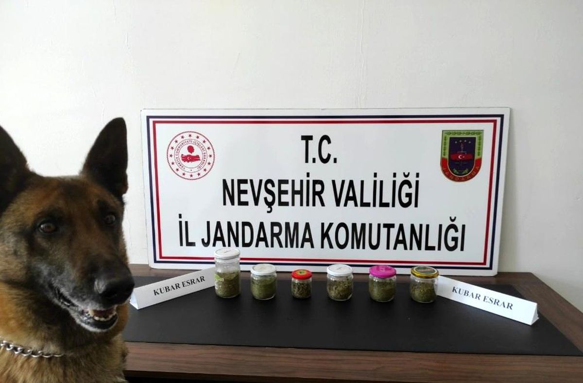 Ürgüp\'te 287 gram esrar ele geçirildi