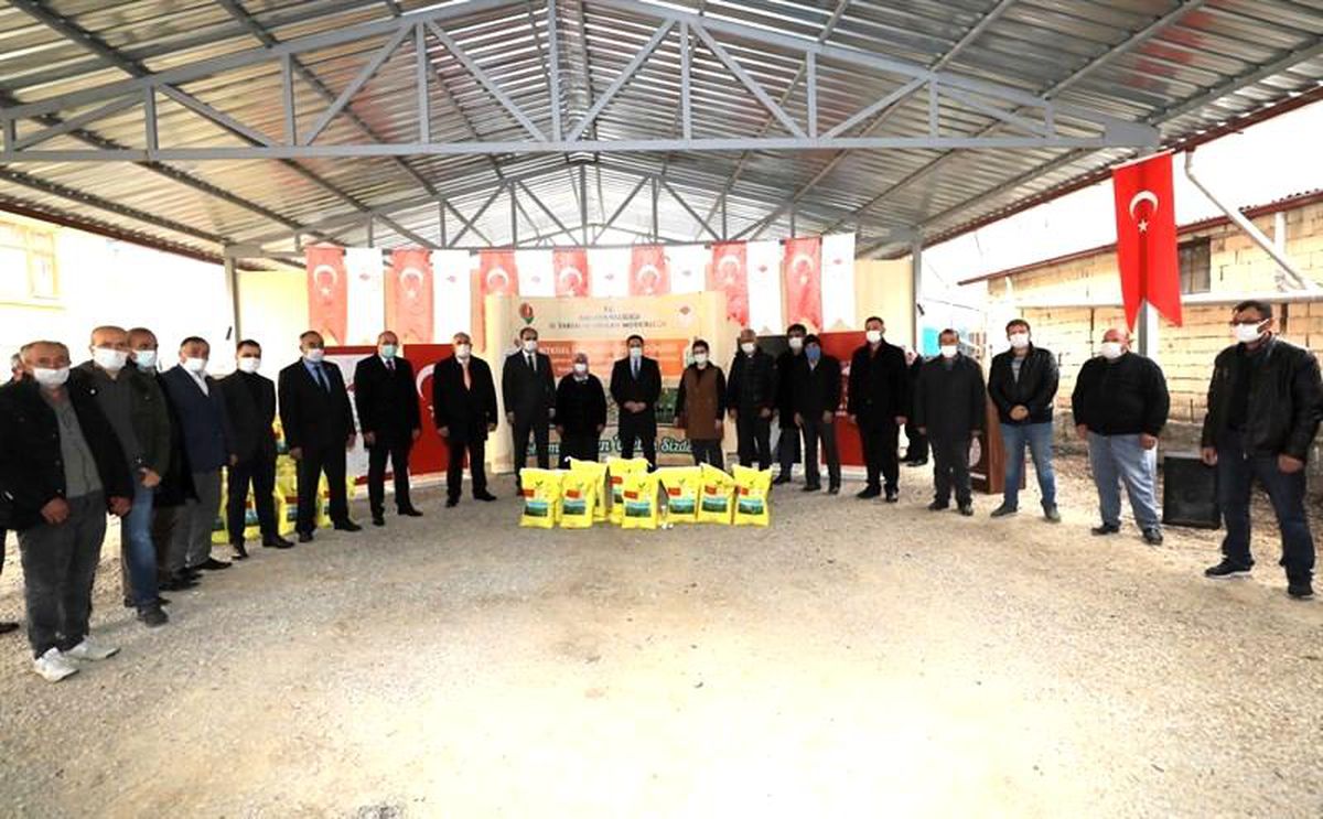 Amasya\'da çiftçilere 20 ton yonca tohumu dağıtıldı