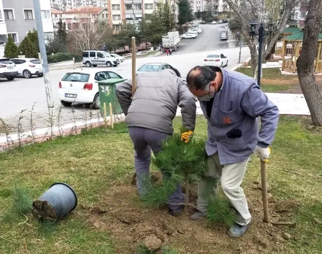 Başkent'te yaza yemyeşil hazırlık