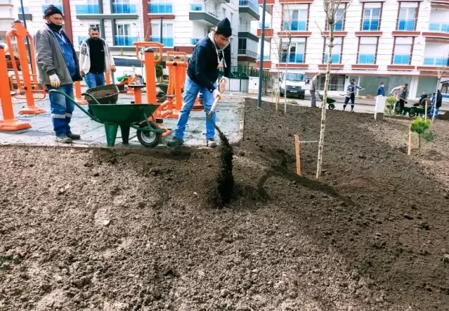 Başkent'te yaza yemyeşil hazırlık