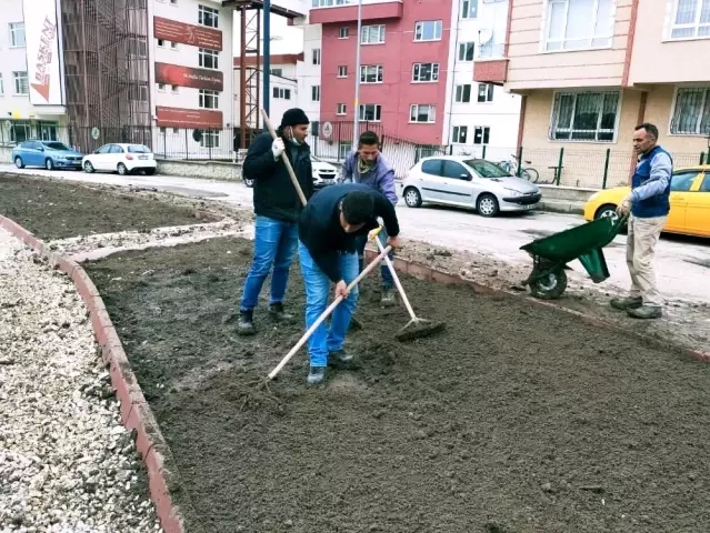 Başkent'te yaza yemyeşil hazırlık