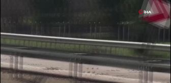 Bursa'da feci kaza: Ters yöne girdi, hayatından oldu