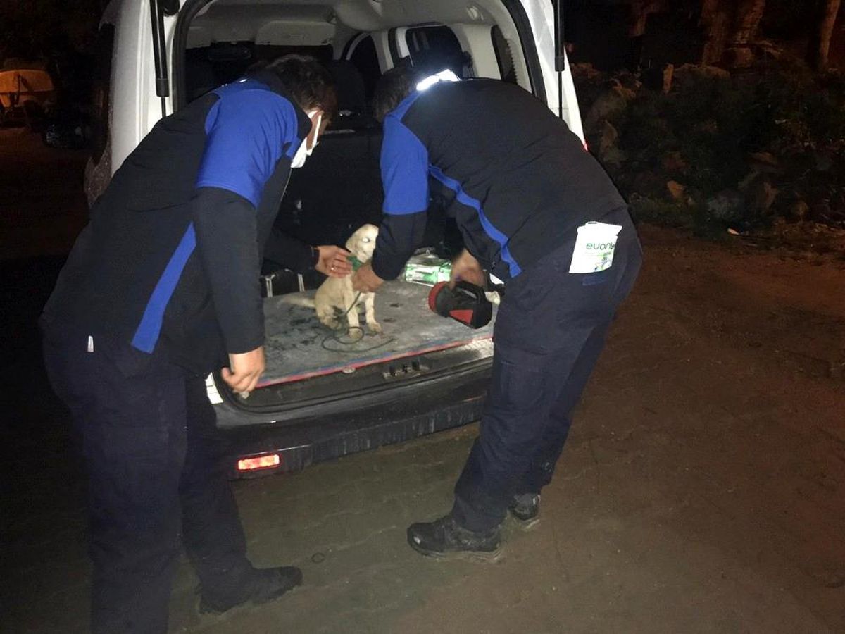 Son Dakika | Bursa\'da vahşet...Boynuna ip dolayıp surlarda ölüme terk ettiler
