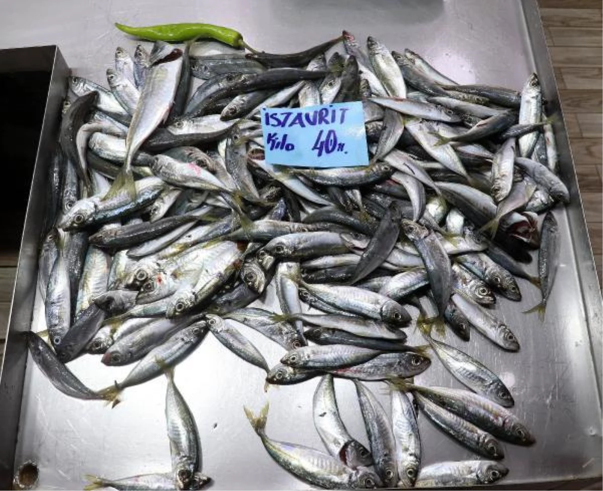 Çanakkale\'de \'müsilaj\' balık fiyatlarını arttırdı