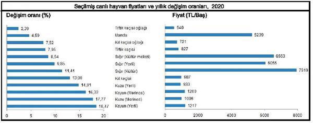 İnek sütü fiyatı 2020 yılında yüzde 23.66 yükseldi