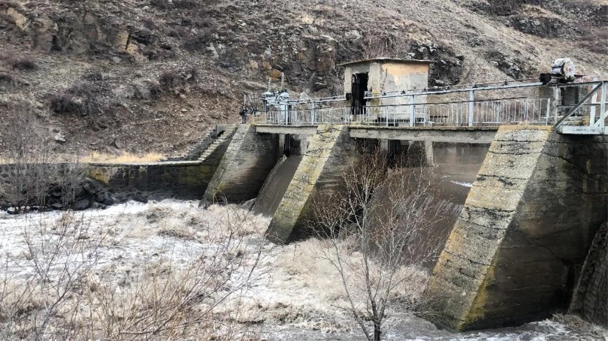 Son dakika genel: Kars Çayı taştı, ağaçlar sular altında kaldı