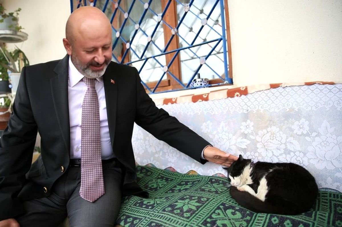 Kocasinan Belediyesi, "Kedi Kasabası" projesiyle "can dostlara" sıcak yuva olacak