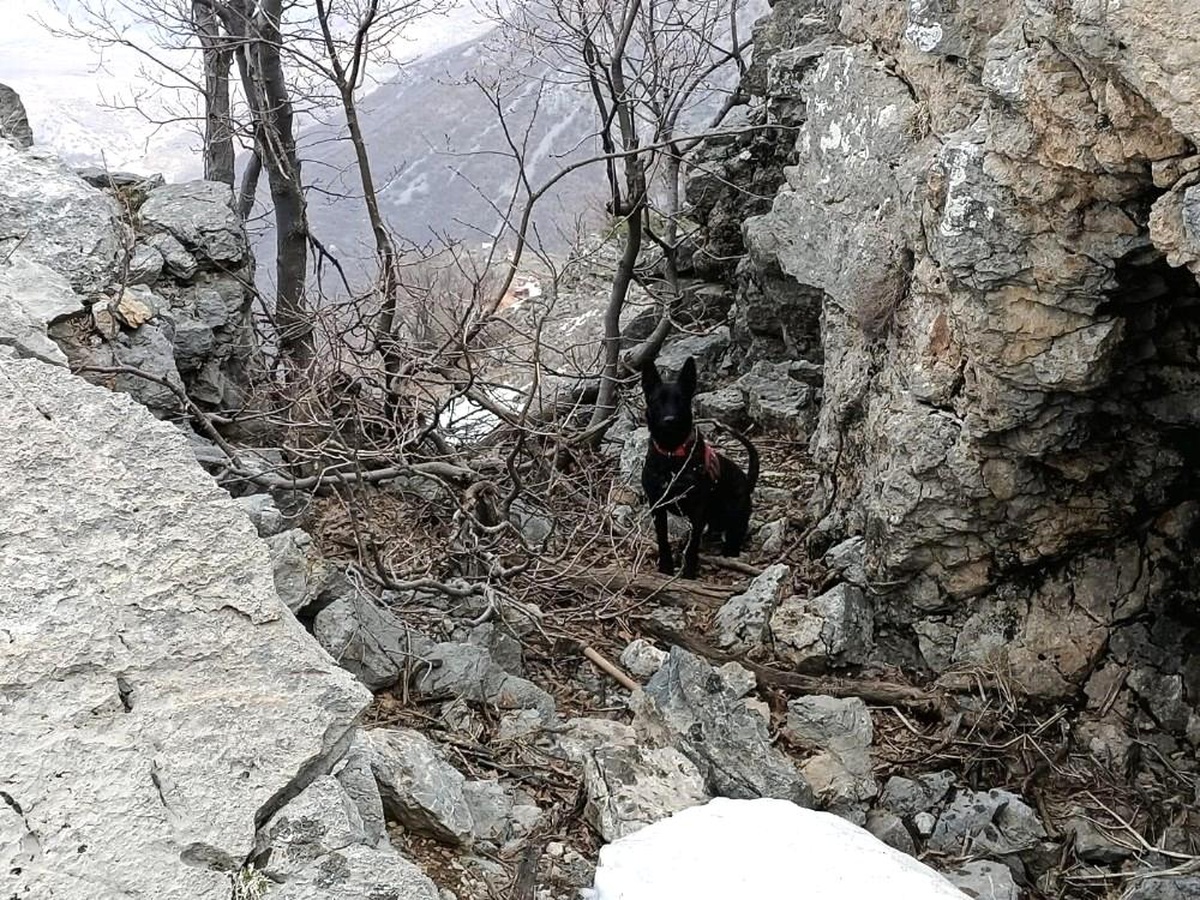 PKK\'lı teröristlere ait 2 el yapımı patlayıcı jandarma ekiplerince imha edildi
