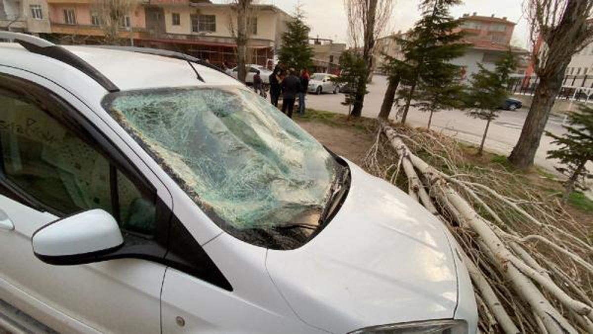 Rüzgarın devirdiği ağaç, otomobilde hasara neden oldu