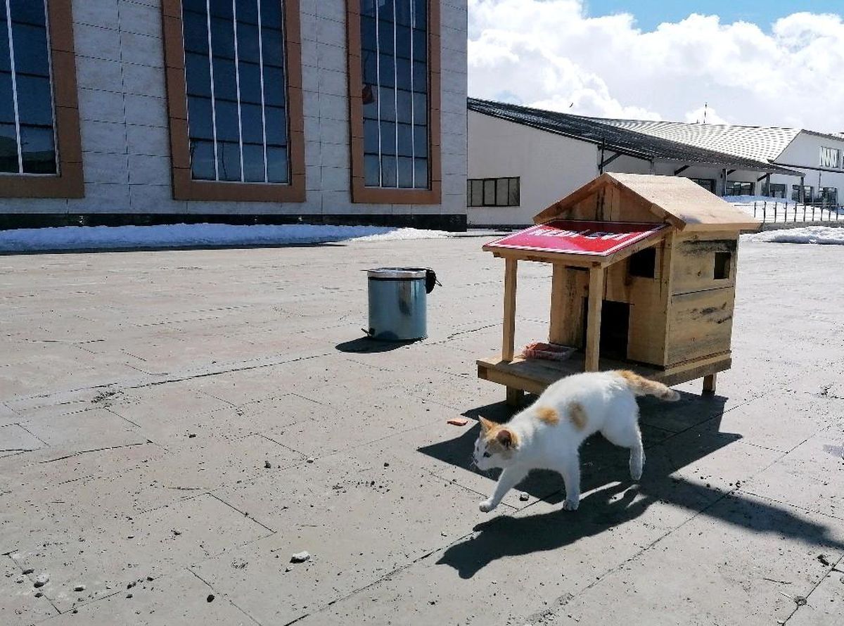AİÇÜ\'de Minik Dostlar Unutulmadı