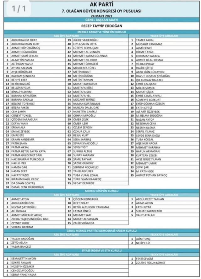 AK Parti'de görev alması beklenen Berat Albayrak yönetimde yer almadı