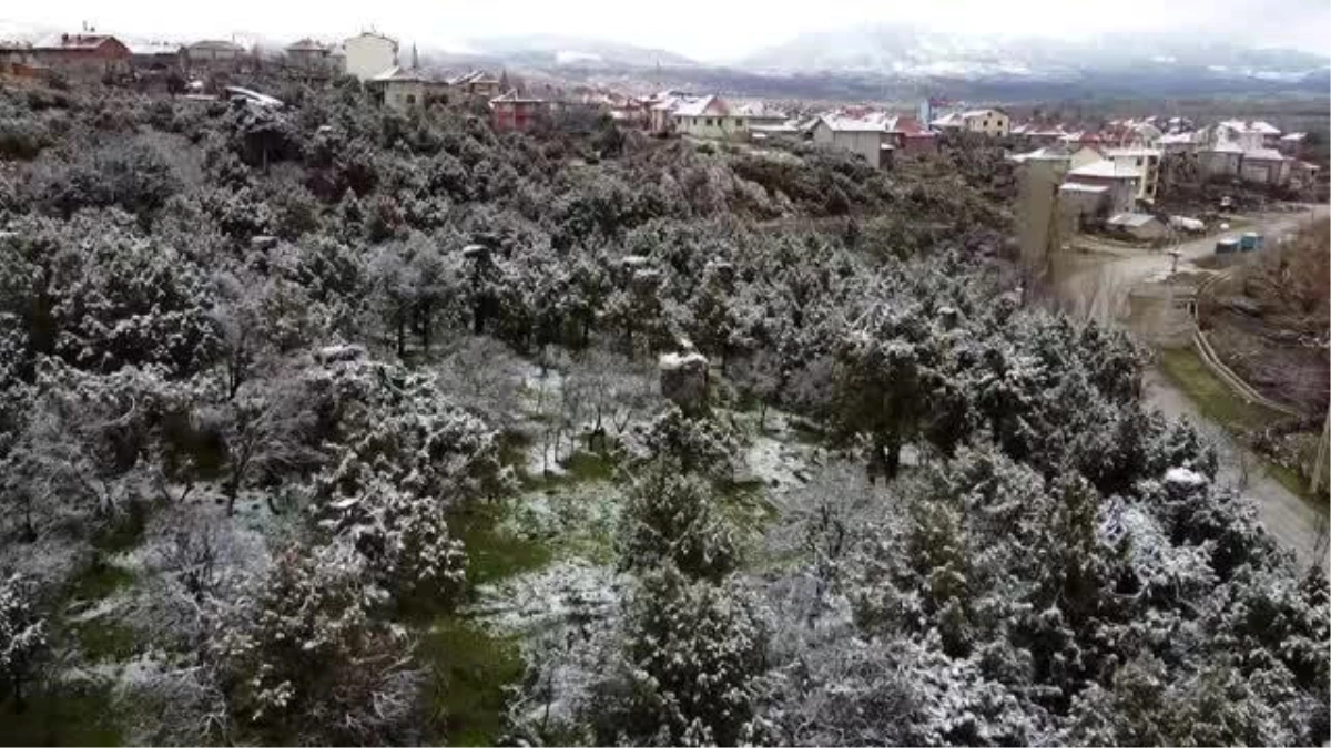 Beyşehir\'de leyleklerin yuvaları kar örtüsü altında kaldı