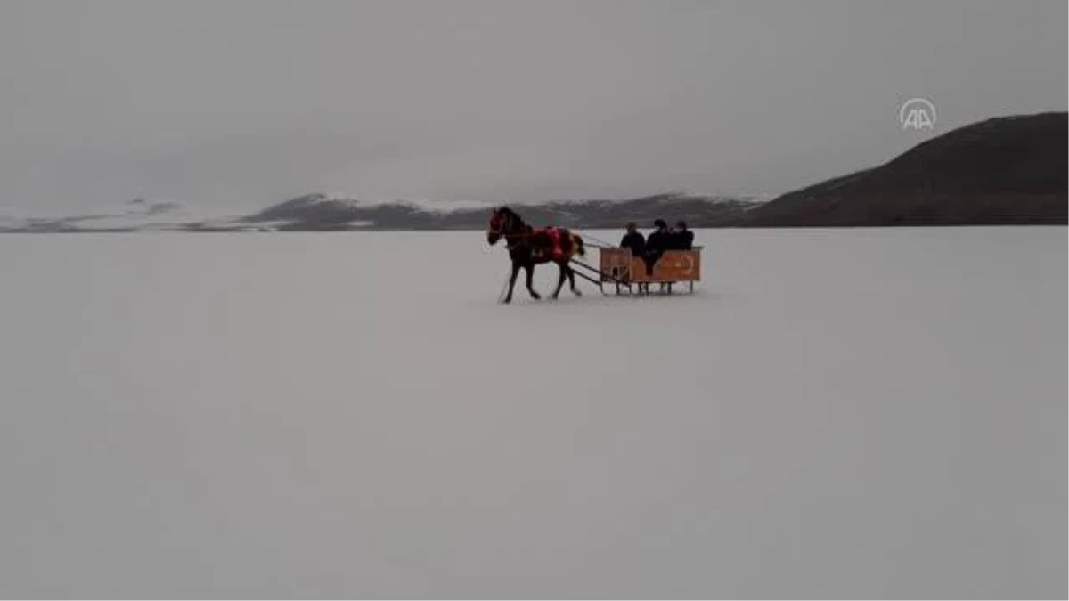 Buzla kaplı Çıldır Gölü\'nde atlı kızakla gezinti keyfi nisanın ilk günlerine kadar sürecek