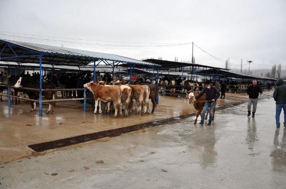 Çiçek hastalığı nedeniyle 70 gündür kapalı olan hayvan pazarı açıldı