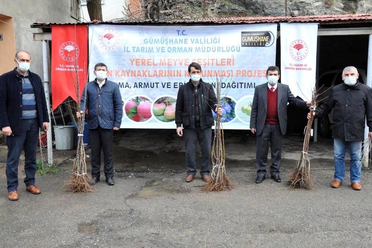 Gümüşhane\'de üreticilere 4 bin adet yerli meyve fidanı dağıtıldı
