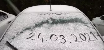 Kocaeli'de kar yağışı etkisini sürdürüyor