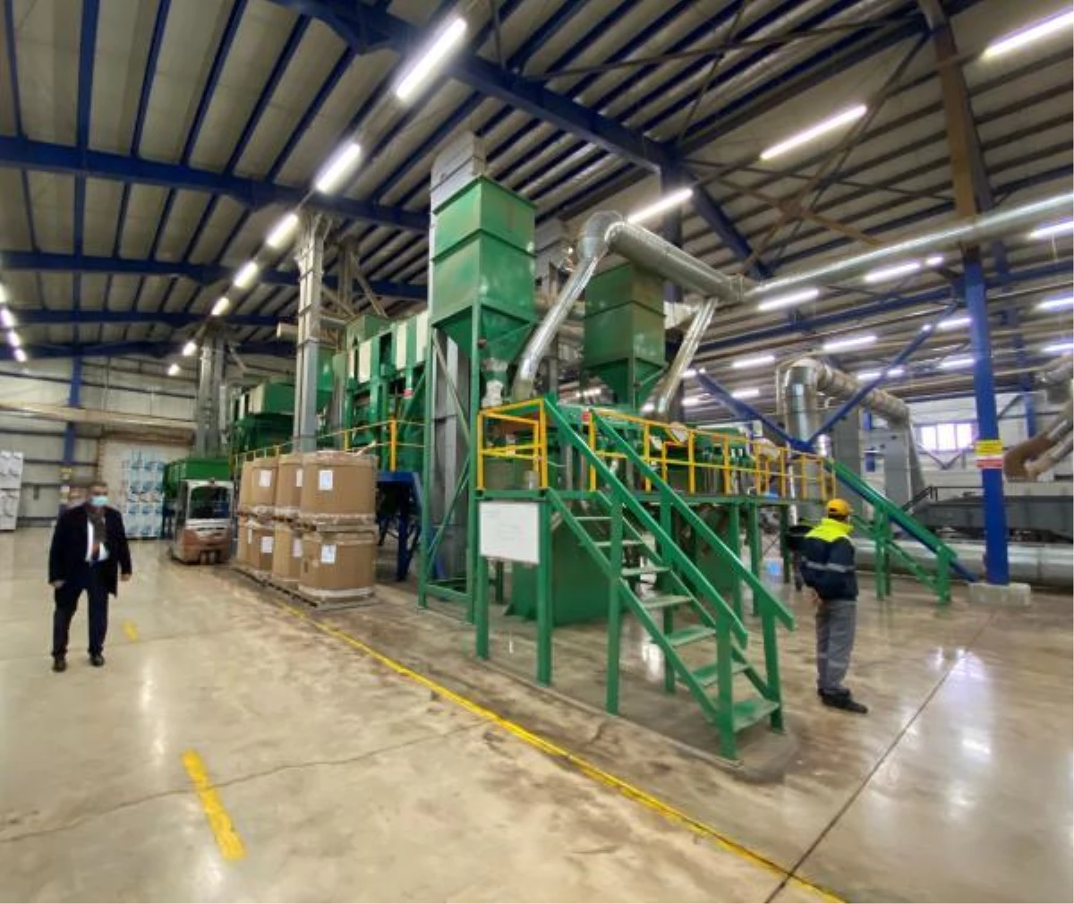 Konya Ovası\'nda ayçiçeği üretimi, 260 bin tona çıktı