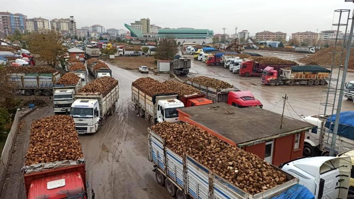 Pancar bedelleri 25 Mart\'ta ödenmeye başlıyor