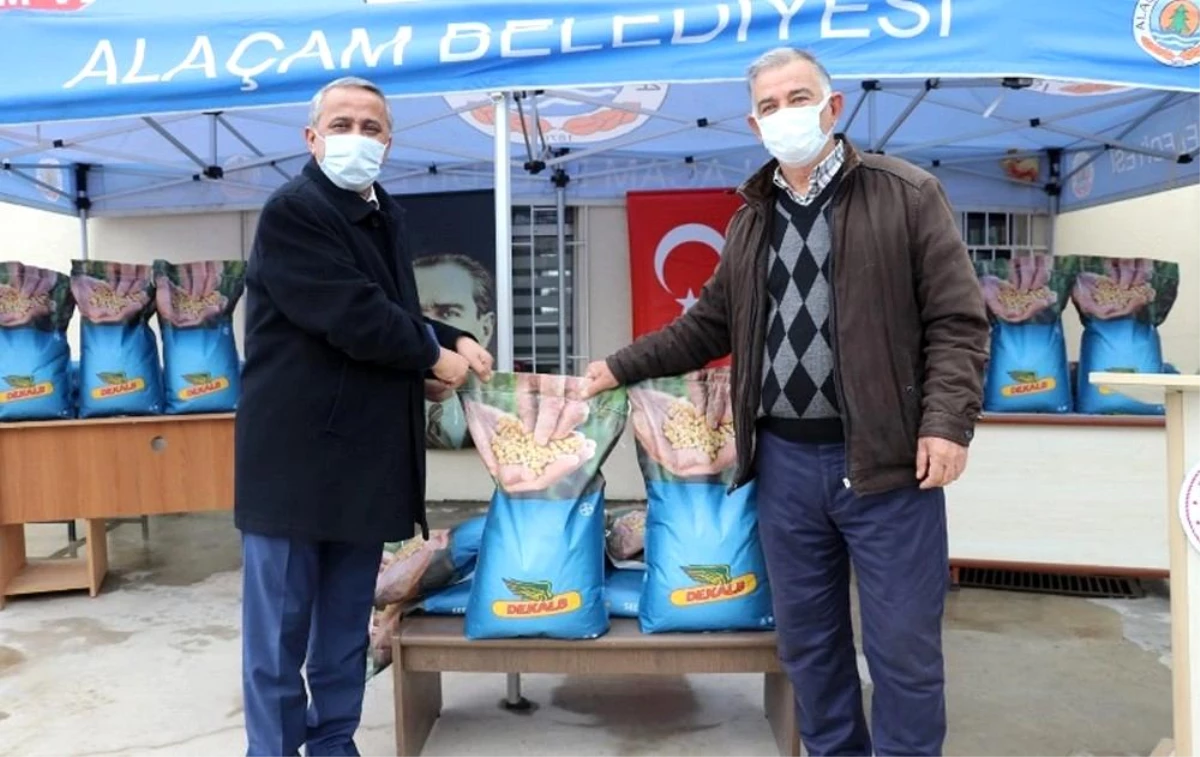 Samsun\'da çiftçilere 12 bin kilogram silajlık mısır tohumu hibesi