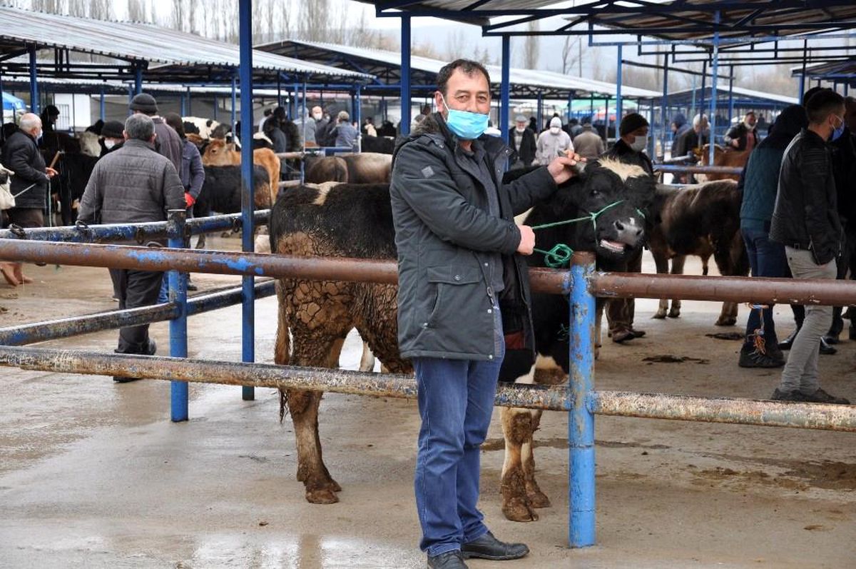 Simav\'da canlı hayvan pazarı tekrar açıldı