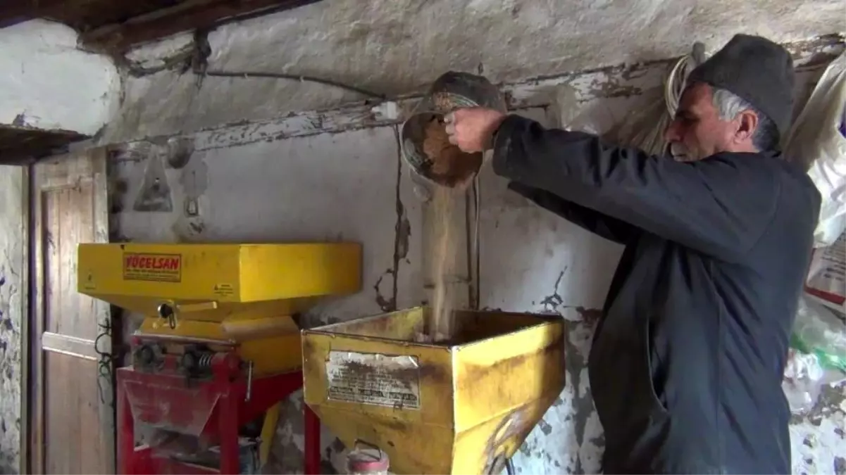 Sındırgı\'da 55 yıldır doğal yöntemlerle susam yağı çıkarıyorlar