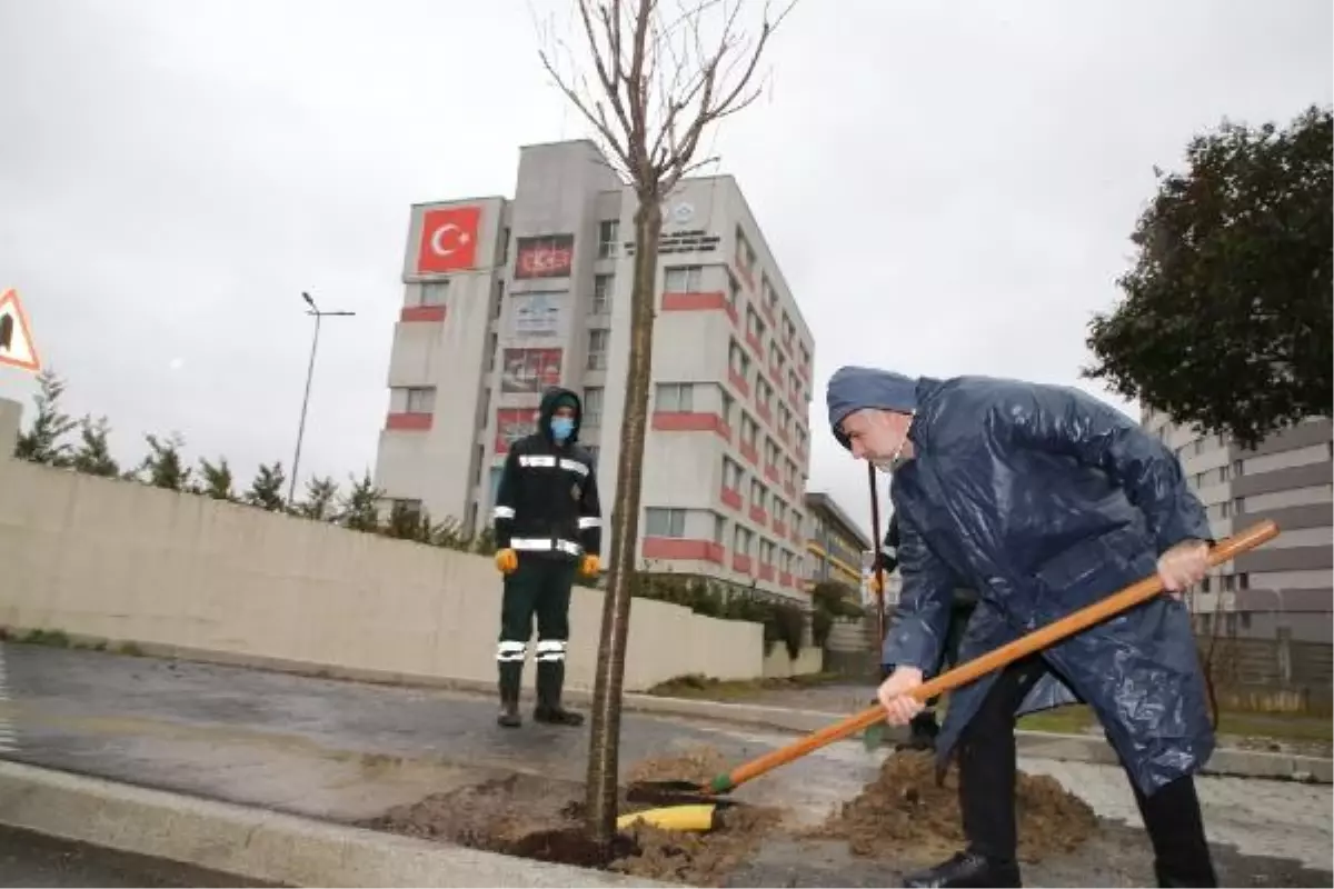 Sultanbeyli Belediyesi Orman Haftası için fidan dikimi gerçekleştirdi