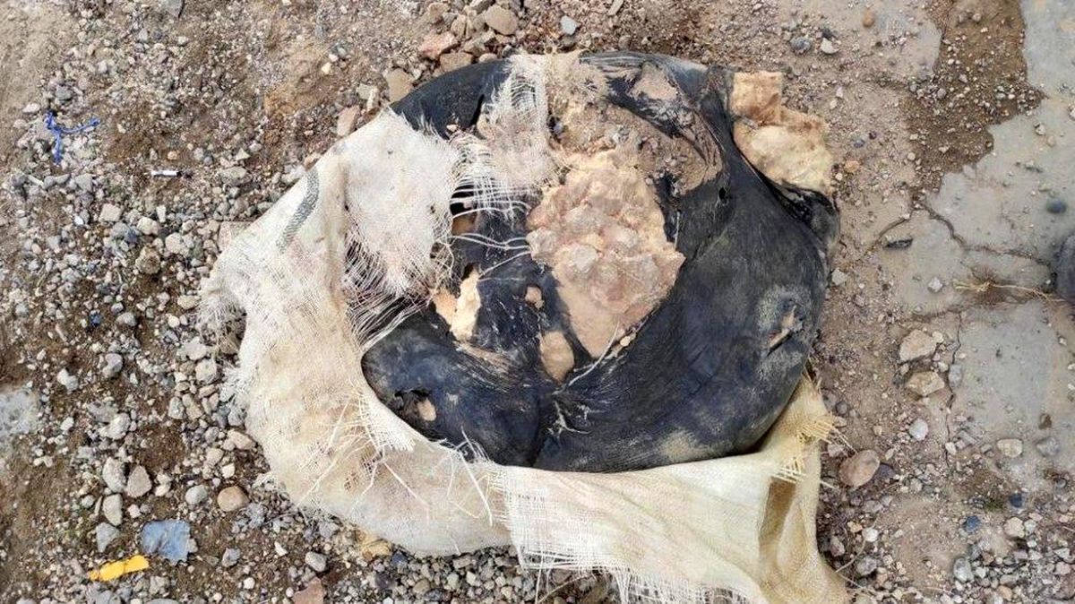 Telabyad\'da 60 kilogram patlayıcı ele geçirildi