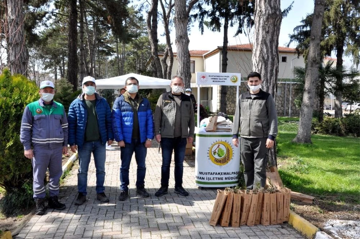 Vatandaşlara ücretsiz fidan dağıtıldı