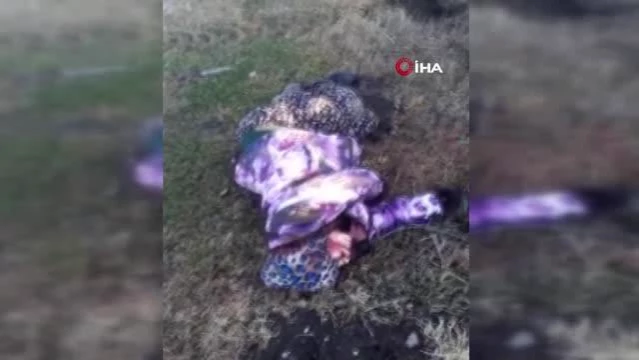 Son dakika: Adana'da 8 aylık hamile kadını kardeşi öldürdü