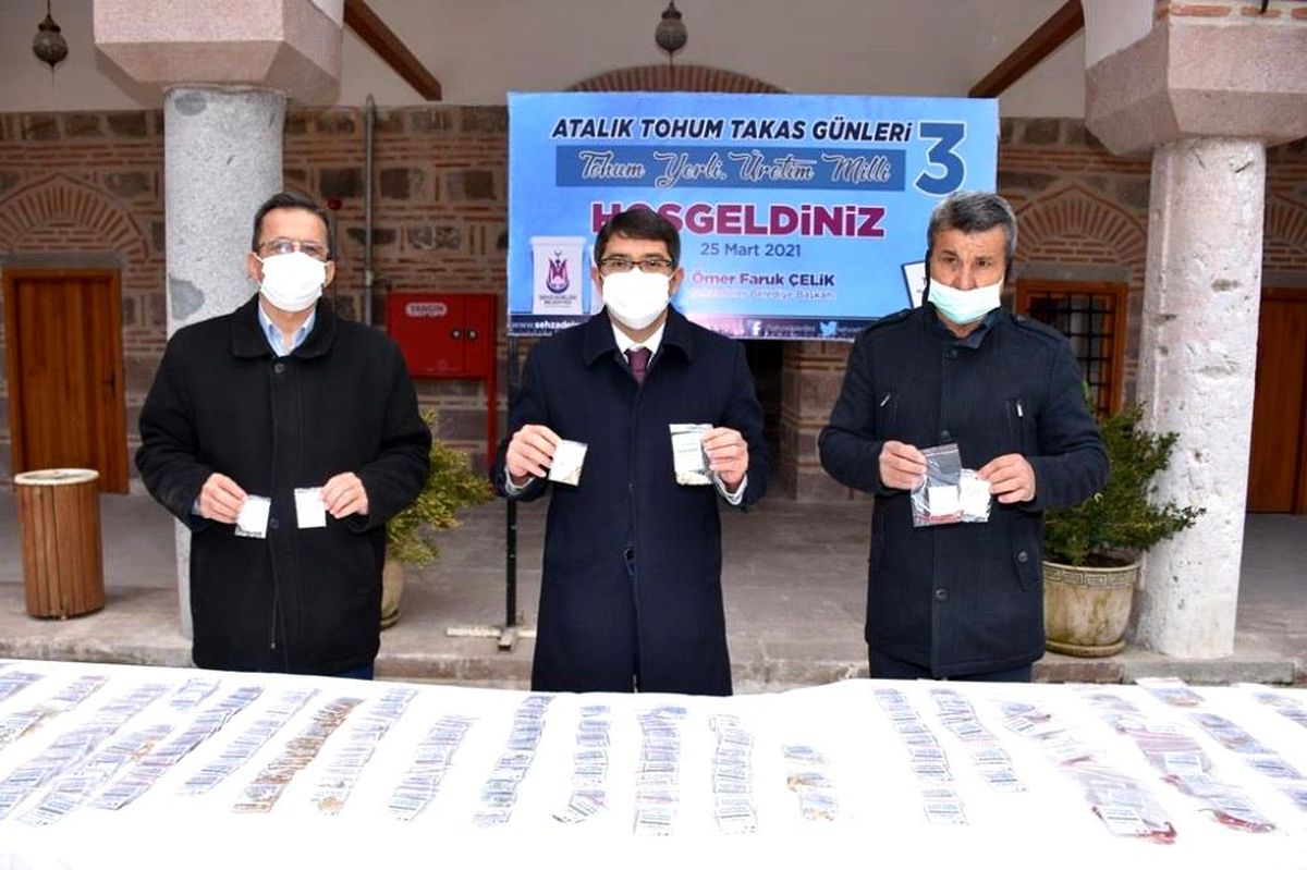 Atalık tohuma ilgi arttı