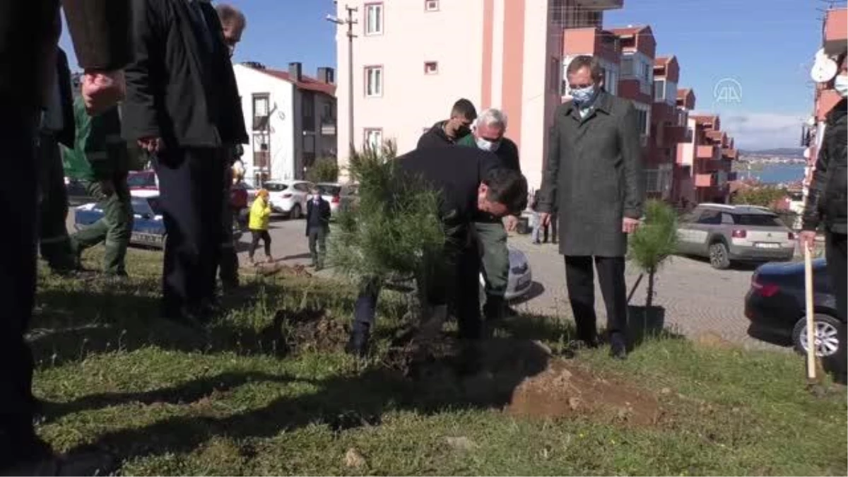 BALIKESİR - 300 ağaç fidanı toprakla buluşturuldu