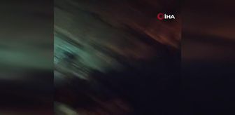 Gübre çuvalına koyulan yemler 17 hayvanı telef etti