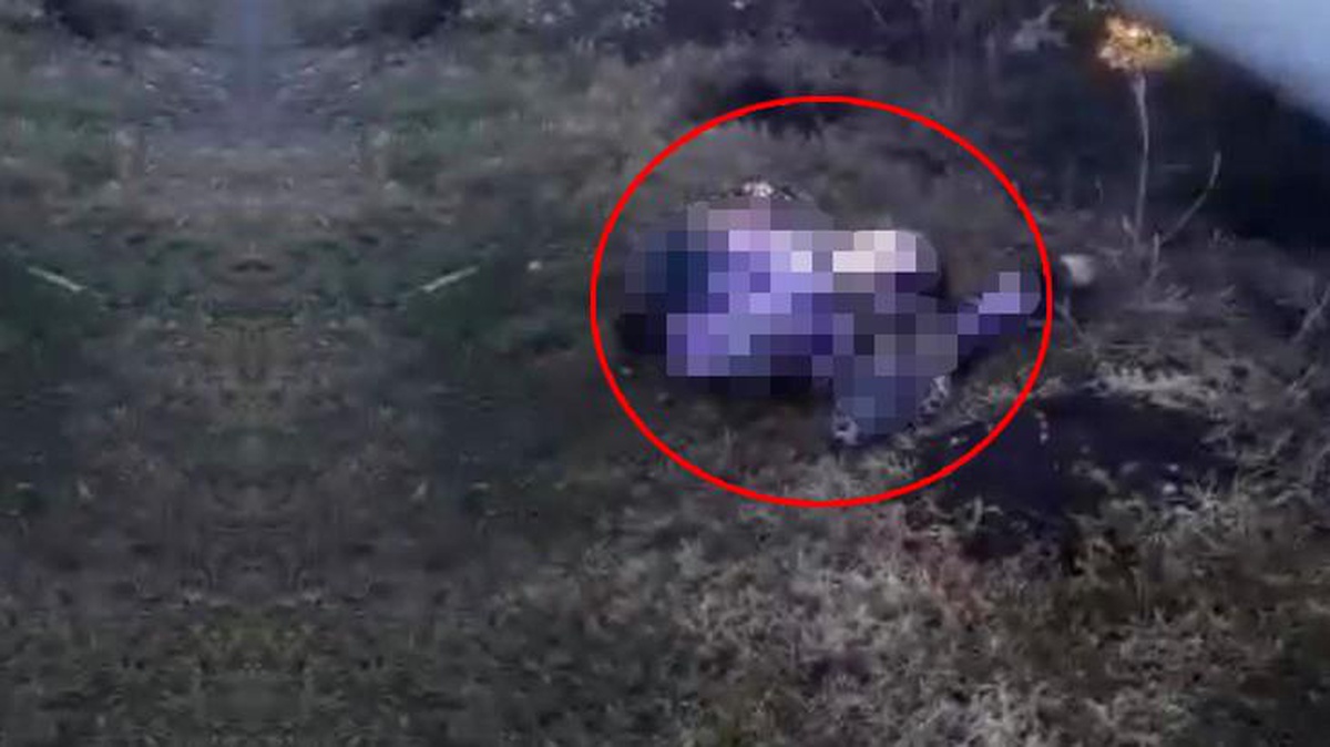 Hamile kadın yol kenarında ölü bulundu, kardeşi gözaltına alındı