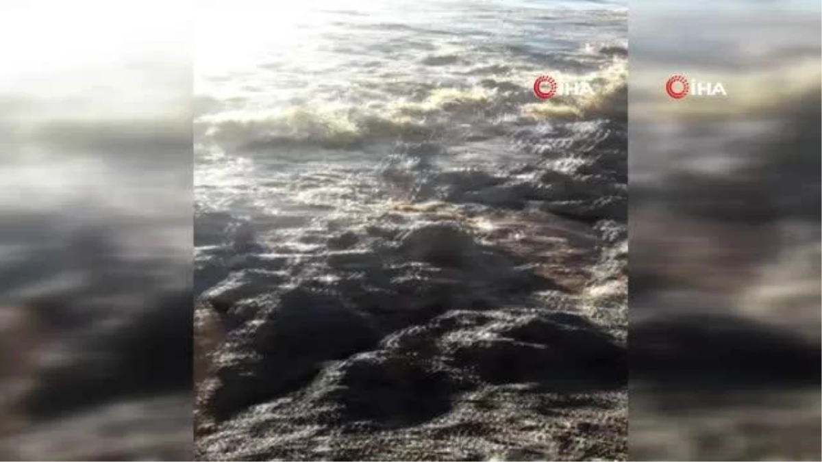 Karataş sahilleri bilinmeyen maddeyle kaplandı